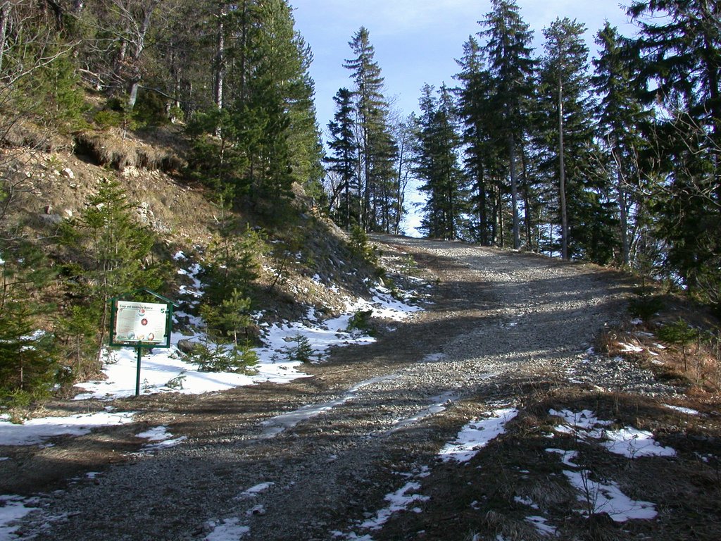DSCN4455.JPG