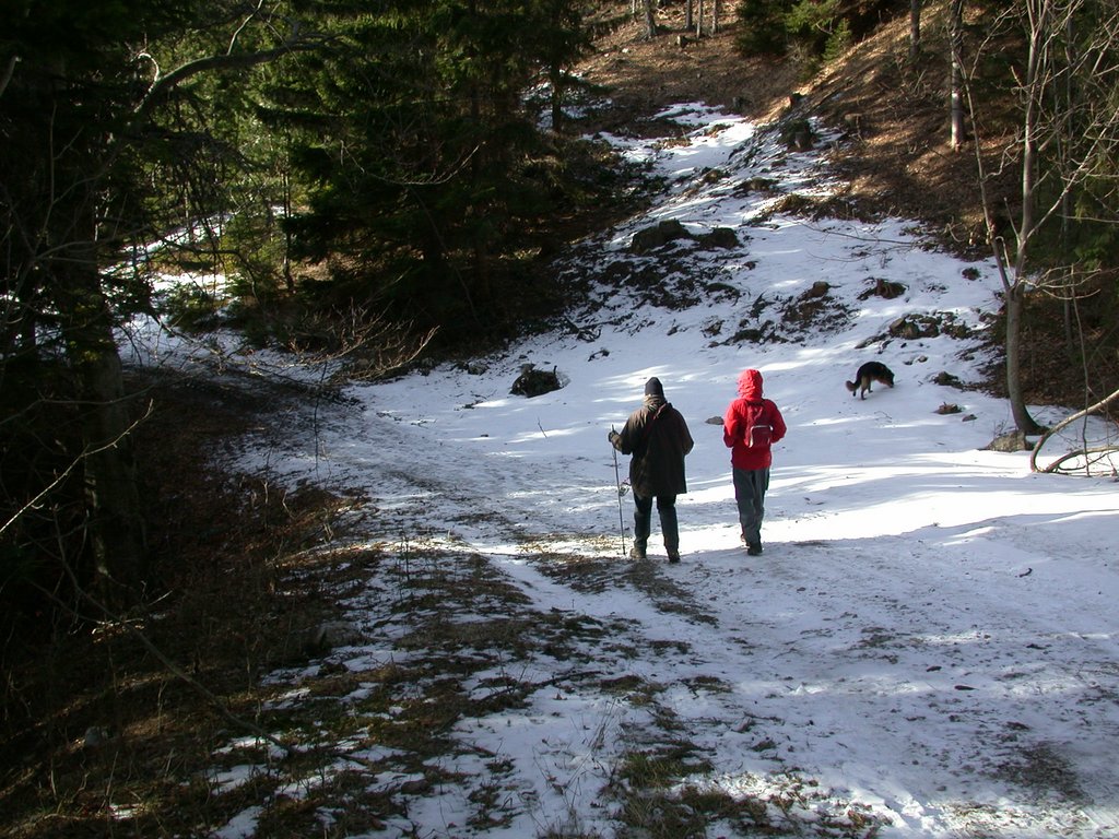 DSCN4456.JPG