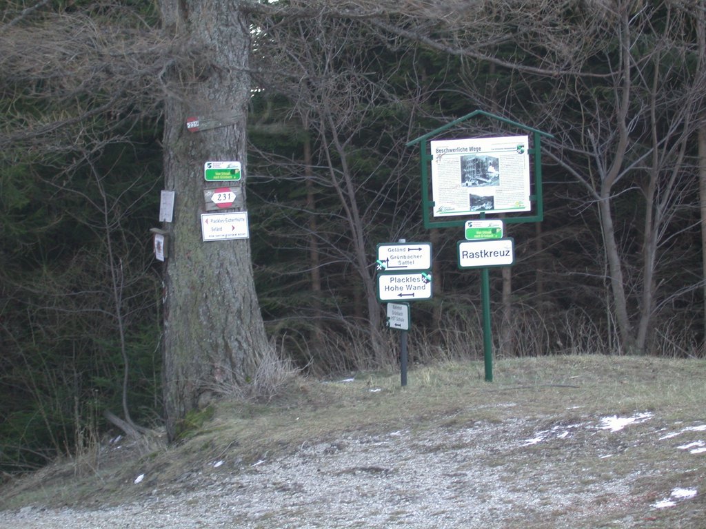 DSCN4458.JPG