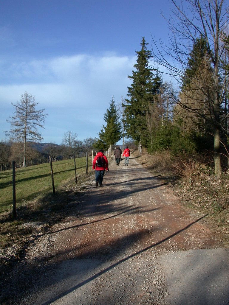 DSCN4465.JPG