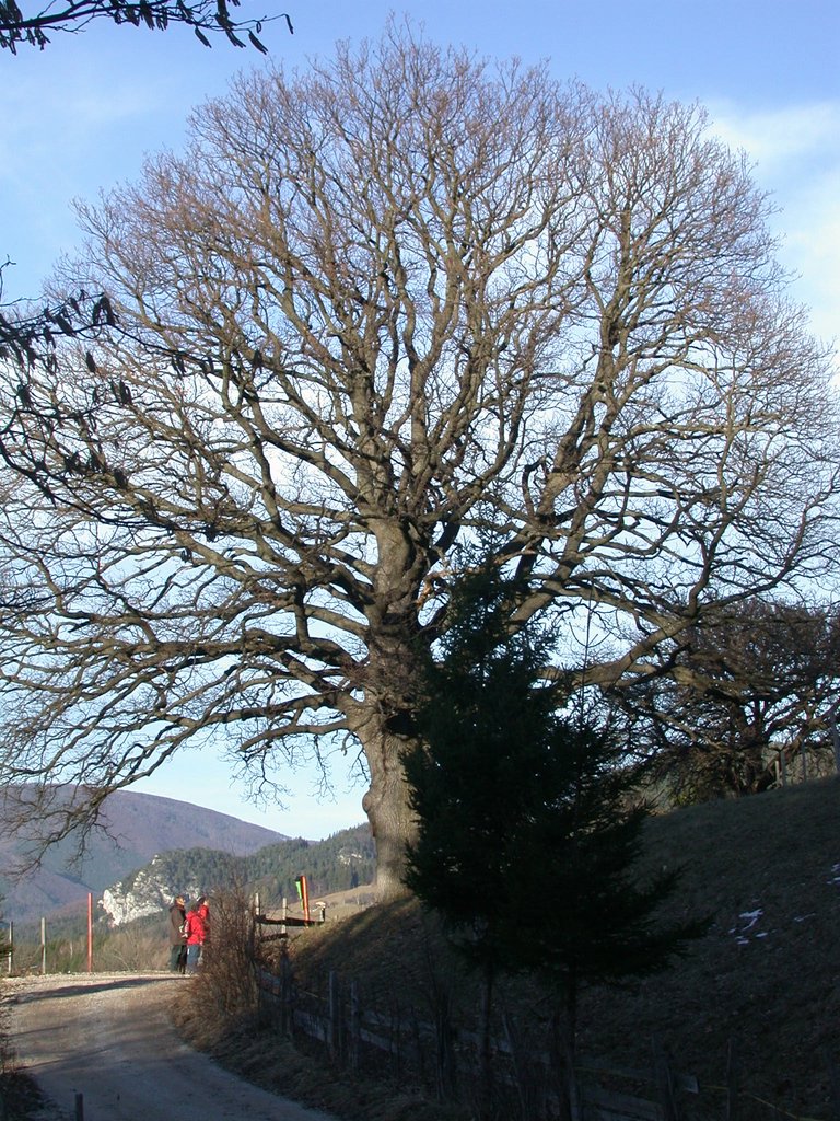 DSCN4475.JPG