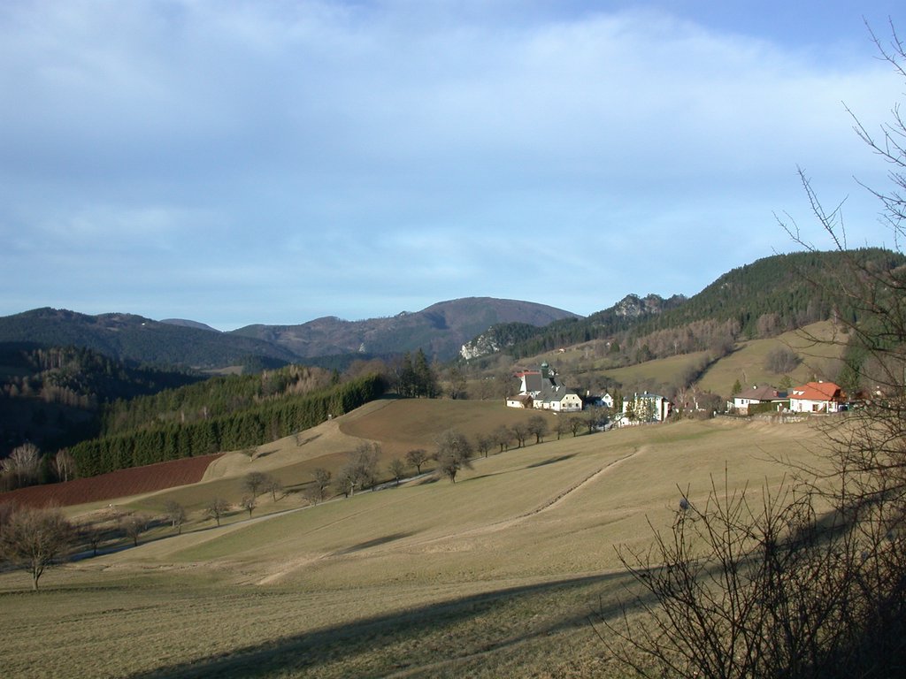DSCN4480.JPG