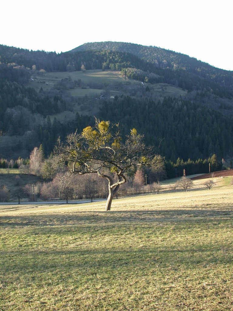 DSCN4489.JPG