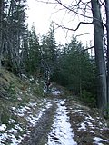 DSCN4426.JPG