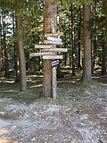 DSCN4433.JPG