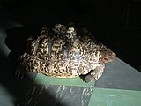 DSCN4441.JPG