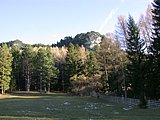 DSCN4470.JPG
