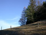 DSCN4476.JPG