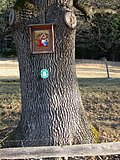 DSCN4477.JPG
