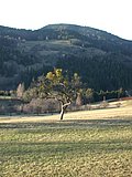 DSCN4489.JPG