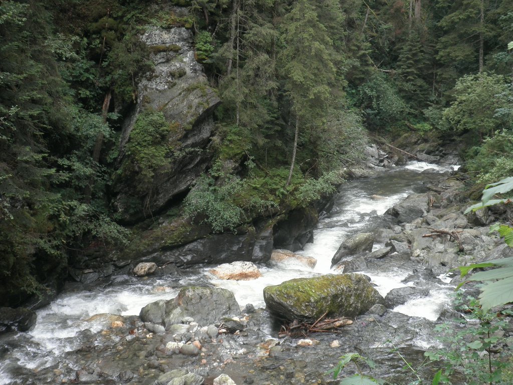 P7290016.JPG