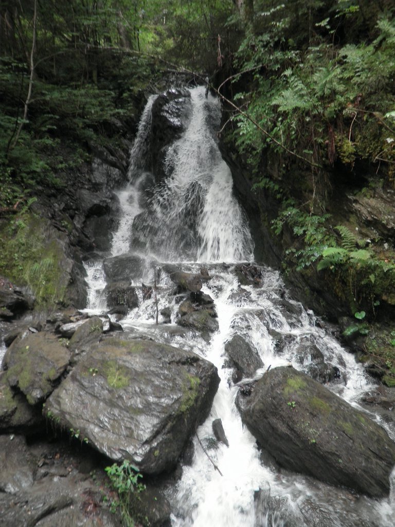 P7290020.JPG