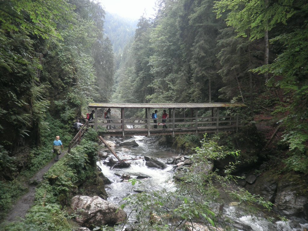 P7290023.JPG