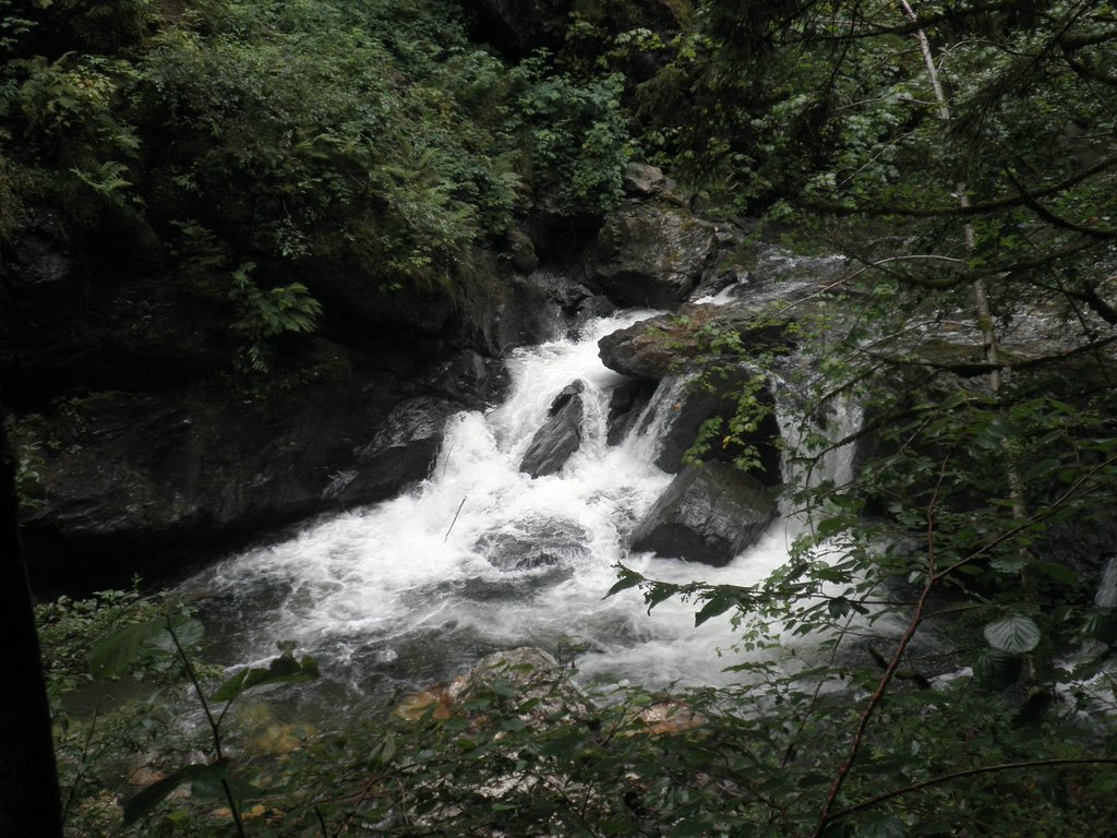 P7290031.JPG