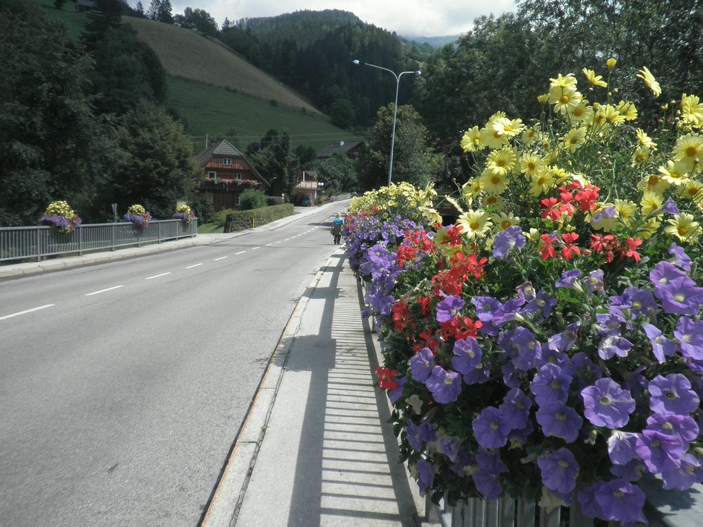 P7290044.JPG
