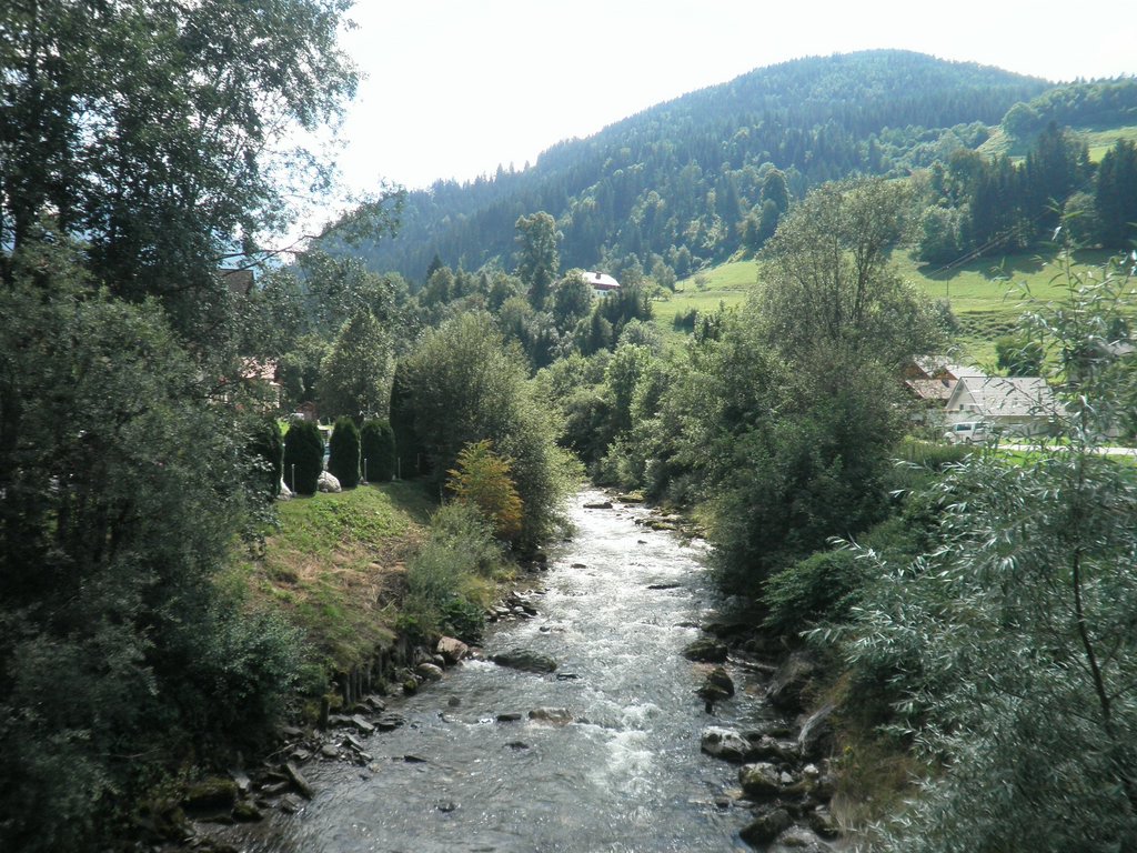 P7290045.JPG