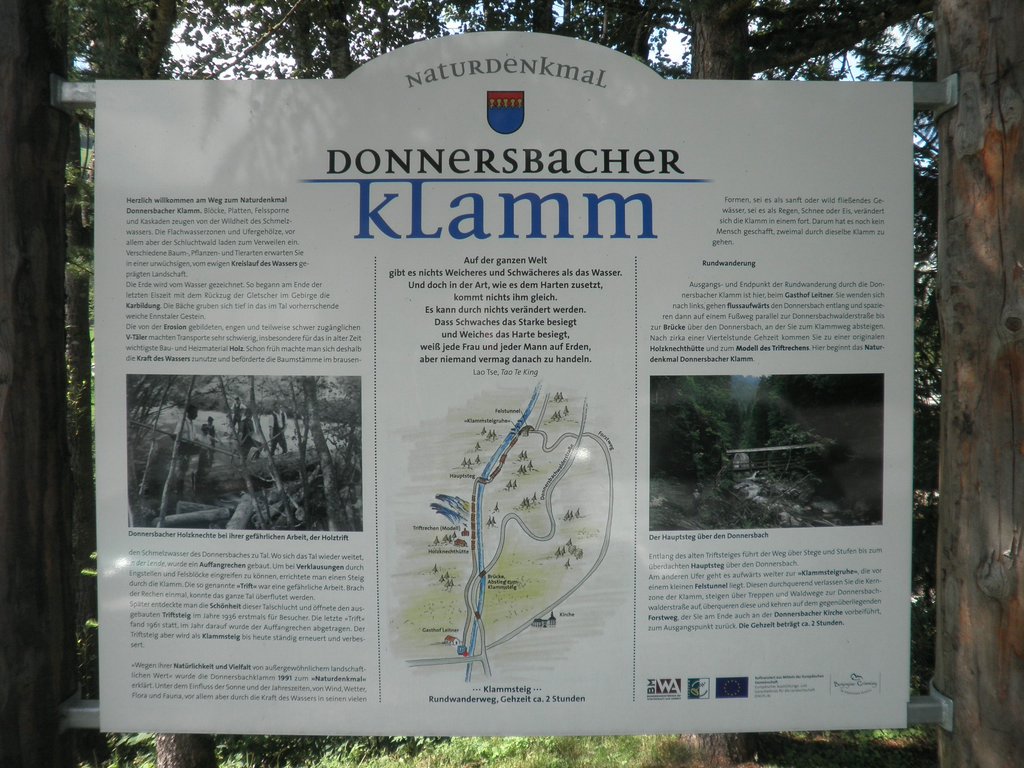 P7290046.JPG
