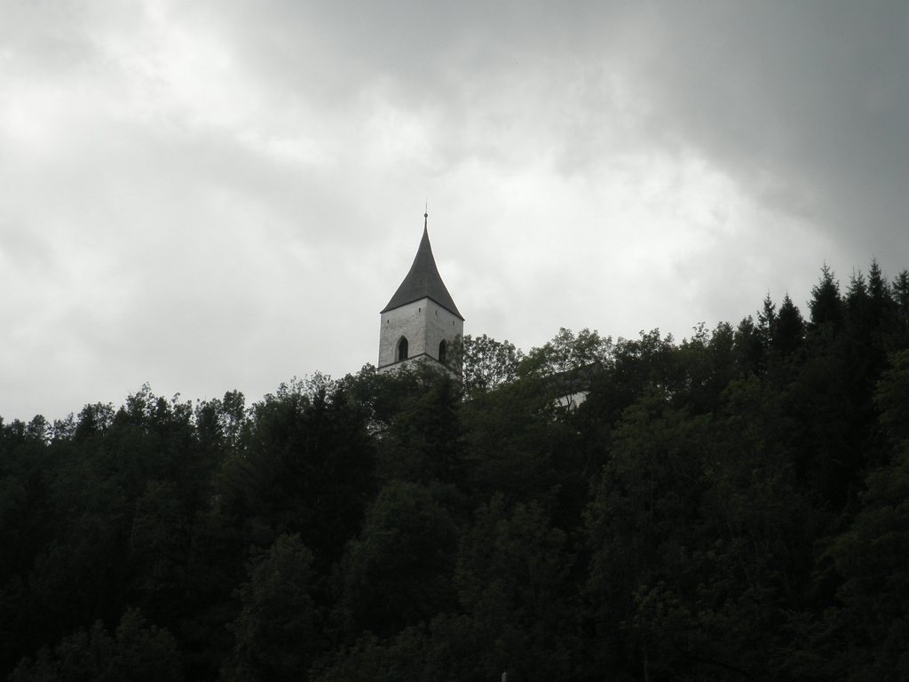 P7290057.JPG