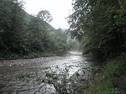 P7290008.JPG