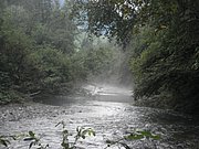 P7290009.JPG