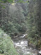 P7290015.JPG