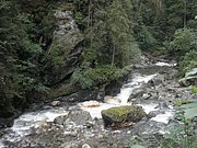 P7290016.JPG