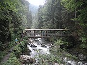 P7290023.JPG
