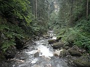P7290026.JPG