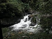 P7290031.JPG