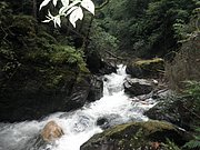P7290035.JPG