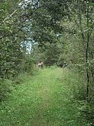 P7290036.JPG