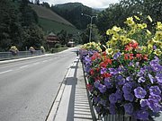 P7290044.JPG