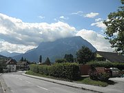 P7290049.JPG