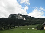 P7290078.JPG
