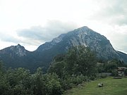 P7290085.JPG