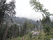 P7300115.JPG