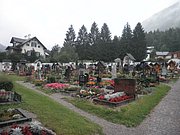 P7300129.JPG