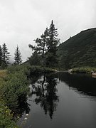 P7300160.JPG