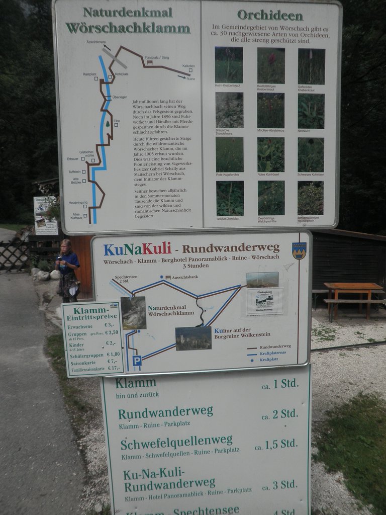 P7310244.JPG