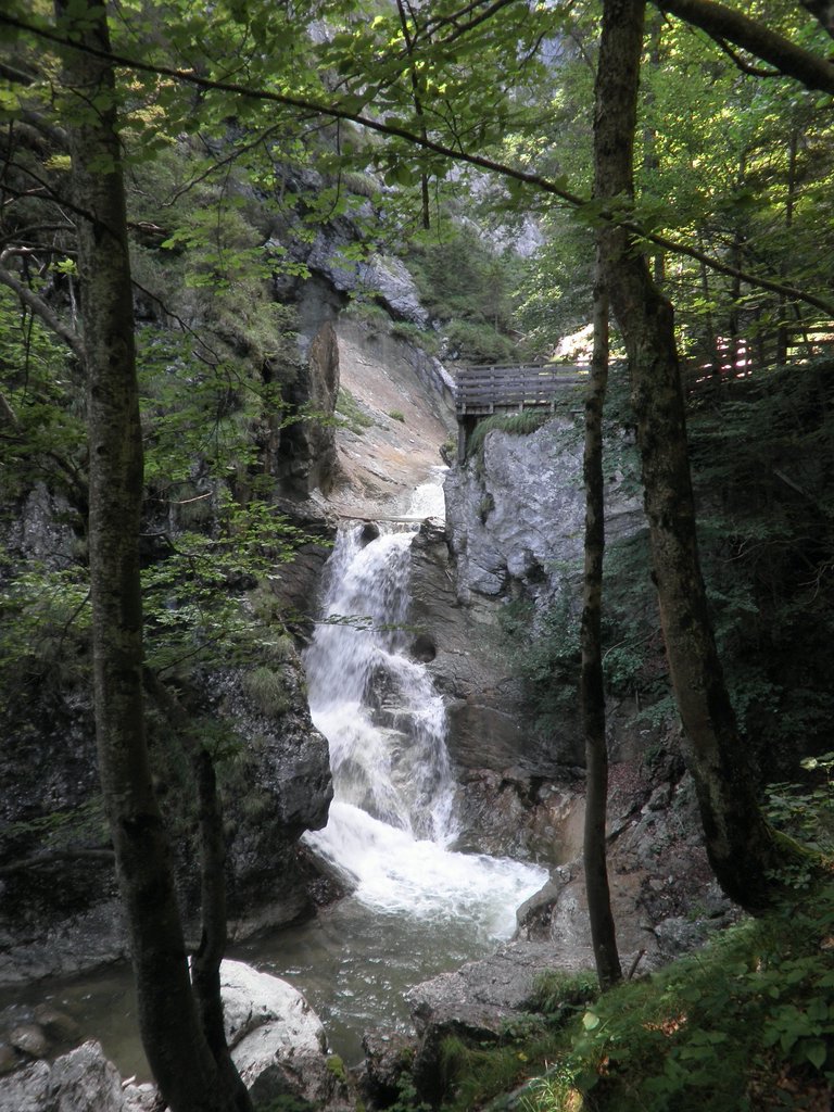 P7310248.JPG