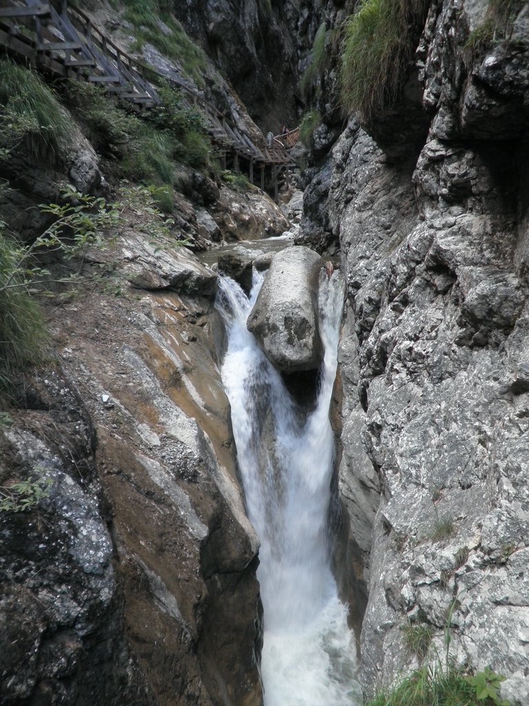 P7310251.JPG