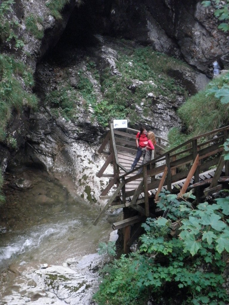 P7310255.JPG
