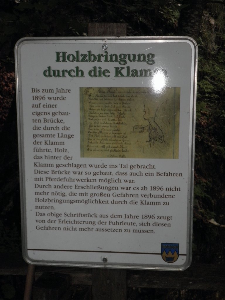 P7310263.JPG