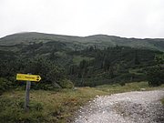 P7310190.JPG