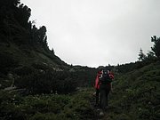 P7310198.JPG