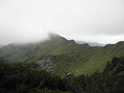 P7310202.JPG