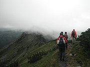 P7310203.JPG