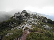 P7310209.JPG