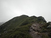 P7310210.JPG