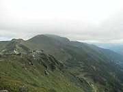 P7310212.JPG